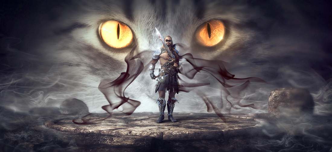 Cat Brasil